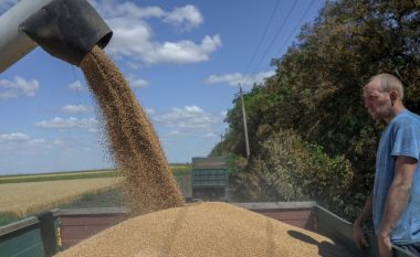 Pse është e rëndësishme për botën marrëveshja për eksportin e grurit nga Ukraina?