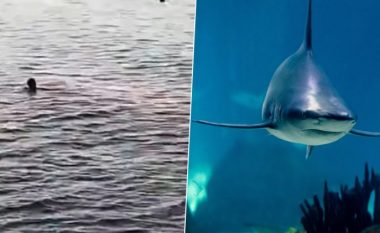 Një peshkaqen sulmoi një grua në Egjipt: Dëshmitarët okularë panë të tronditur skenën e përgjakshme