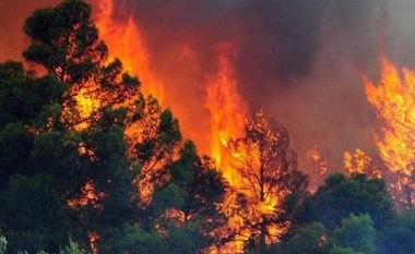 Situata me zjarret në Shqipëri, Ilir Meta: Të ndërhyhet menjëherë, të shtohen vrojtuesit