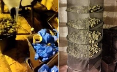 Në Zubin Potok, zbulohet laboratori ku kultivohej kanabis – sekuestrohen 50 kg marihuanë dhe arrestohen 6 persona