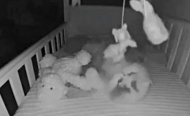 Macja hyn në krevatin e fëmijë dhe luan me lodra – videoja bëhet virale