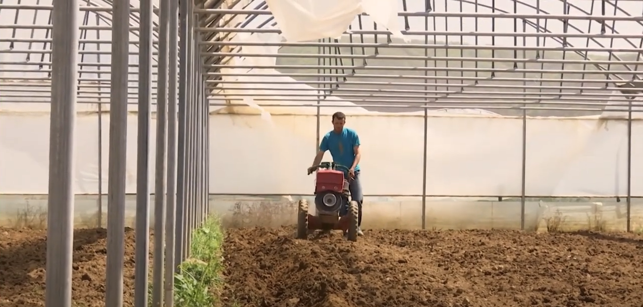 Prices and subsidies in agriculture did Kosovar farmers increase or