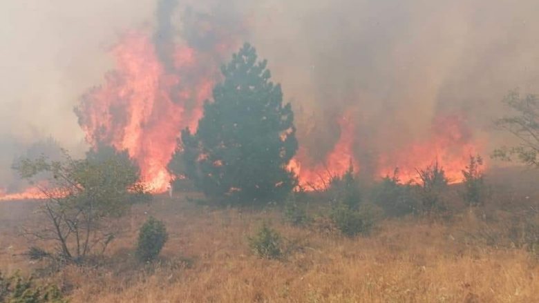 Komuna e Berovës u bënë thirrje qytetarëve që të ndihmojnë në shuarjen e zjarrit