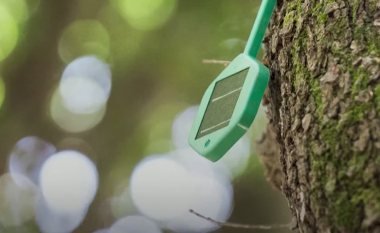 A mund t’i mbrojmë pyjet nga zjarret përmes “sensorëve inteligjentë” të vendosur në pemë?