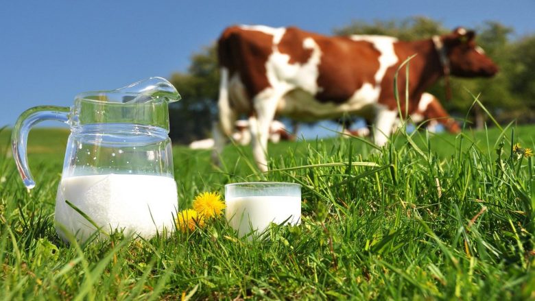 Hapet aplikimi për subvencione për qumësht, therje të gjedhit, viça e akuakulturë