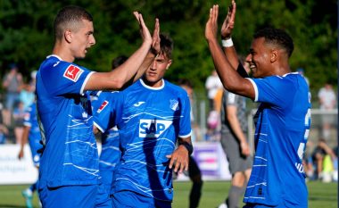 Fisnik Asllani shënon gol të bukur me Hoffenheim