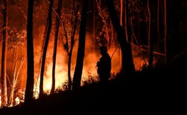 Portugalia vë në aksion 3,000 zjarrfikës për të shuar flakët e shkaktuara nga vala e të nxehtit