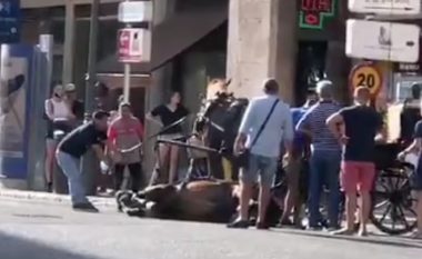 Temperaturat ekstreme, momenti kur kalit “i bie të fikët” ndërsa tërhiqte karrocën turistike në Majorka të Spanjës