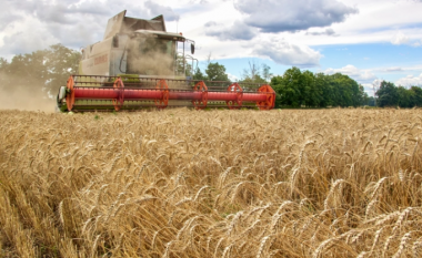 Marrëveshja mes Rusisë dhe Ukrainës për grurin pritet të nënshkruhet të premten në Turqi