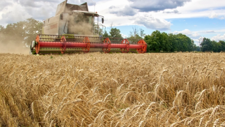 Marrëveshja mes Rusisë dhe Ukrainës për grurin pritet të nënshkruhet të premten në Turqi