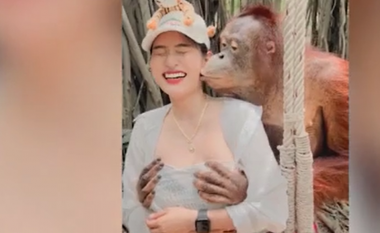 Orangutani në Tajlandë ia kapi gjoksin turistes si dhe e puthi në faqe