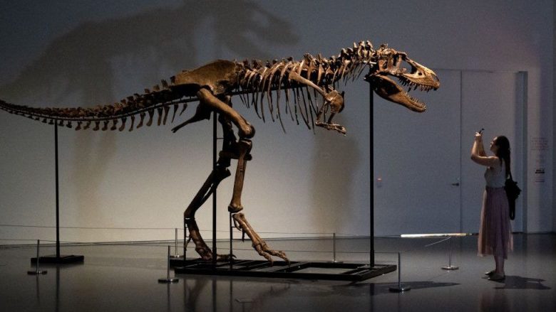 Gorgosaurus: Skeleti i lashtë i dinosaurit shitet për 6 milionë dollarë në ankand