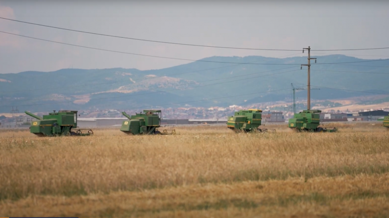 Fillojnë korrje-shirjet, gruri i Kosovës grumbullohet në M&Sillosi