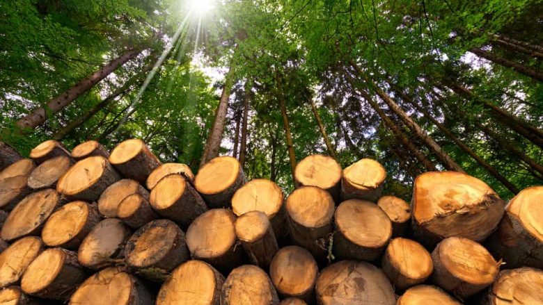 Deri në 80 euro një metër dru në Prishtinë, qytetarët druajnë për një dimër të vështirë