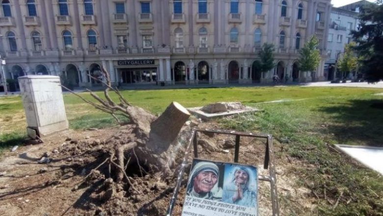 Vazhdon debati ndërmjet ITShKSh-së dhe qytetit të Shkupit për largimin e drurit të Nënë Terezës