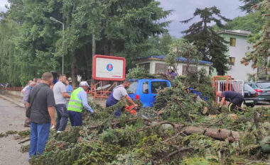 Stuhi e fuqishme godet Ohrin, rrëzohen katër drunjë në Qendrën për Sëmundje Kardiovaskulare