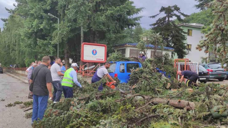 Stuhi e fuqishme godet Ohrin, rrëzohen katër drunjë në Qendrën për Sëmundje Kardiovaskulare
