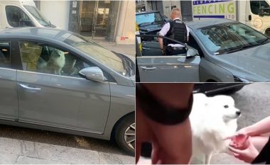 Qeni filloi të ‘përpëlitet nga vapa’ – policia në Londër theu xhamin e Hyundait me vlerë 30 mijë euro për të shpëtuar kafshën e bllokuar brenda
