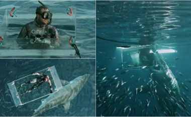 “Ka 32 vjet që nuk kam parë diçka të tillë!”: Momenti kur zhytësi ‘nxirret nga kutia mbrojtëse’ pasi ajo goditet nga një peshkaqen gjigant