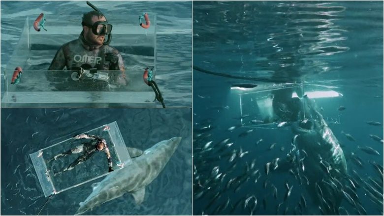 “Ka 32 vjet që nuk kam parë diçka të tillë!”: Momenti kur zhytësi ‘nxirret nga kutia mbrojtëse’ pasi ajo goditet nga një peshkaqen gjigant