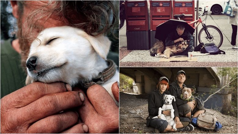 15 imazhe që tregojnë se “sa ka dashuri ndërmjet një njeriu dhe qenit të tij”