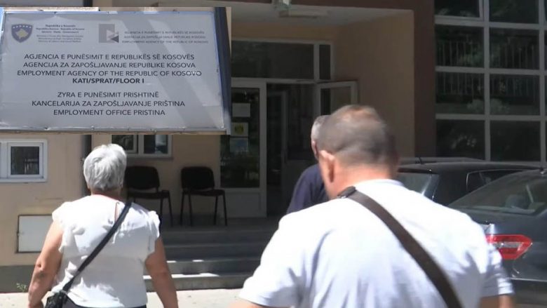 Thirrja për punësim, të papunët të dëshpëruar me institucionet