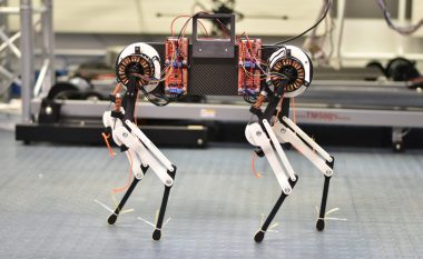 Ekspertët deshën të zbulojnë se si kafshët mësojnë të ecin përmes një roboti me katër këmbë, në madhësinë e qenit