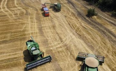 Mbi 20 milionë tonelata grurë i bllokuar, Ukraina kërkon rrugë të reja