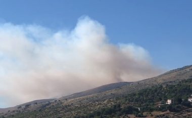 Zjarr i madh në Gjirokastër, nën flakë kullota dhe pyje