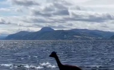 Pamja e fundit e përbindëshit të Loch Ness doli të jetë një alpaka e cila shkoi atje për not