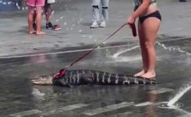 Lidh me litar aligatorin dhe e nxjerr për shëtitje, pushuesit e parkut në Pennsylvani habiten kur shohin reptilin duke u freskuar në fontanë