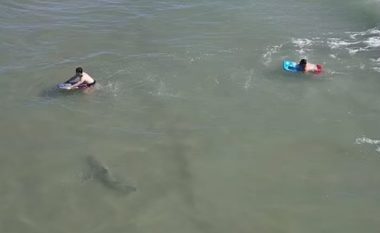 Nuk e dinin se vetëm tre metra larg tyre “sorollatej” peshkaqeni, notuesit në Florida i shpëtojnë më të keqes – pamjet nga droni shfaqin momentin