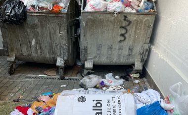 Qytetarët në Prishtinë ankohen se nuk po mblidhen mbeturinat 