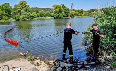 Zjarrfikësit polakë nxorrën 100 tonë peshq të ngordhur nga një lumë