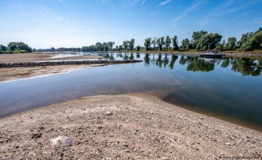 Efektet e vapës - lumenjtë shumë të cektë dhe të ngrohtë në Evropë