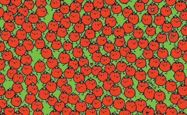 A mund t’i gjeni tri mollët të fshehura në mesin e domateve?