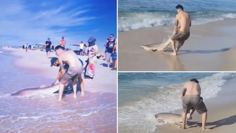 Një burrë e kap me duar peshkaqenin dhe e nxjerrë në bregun e plazhit të New Yorkut