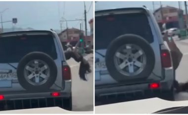 Nuk i mjaftoi që qëndroi jashtë dritares së veturës në lëvizje, gruaja nga Dagestani filloi edhe të vallëzojë – rrëzohet nga mjeti