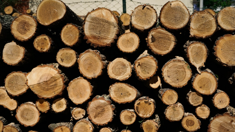 Rritet numri i raportimeve për vjedhje të drunjve në Radovish