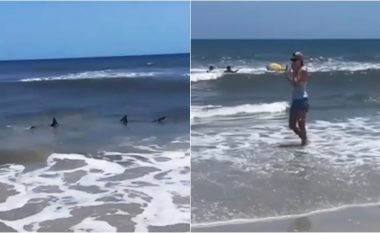 ‘Dil nga uji!’: Notarët largohen me shpejtësi nga deti i Floridës pasi dallojnë dy peshkaqenë që ishin shumë afër tyre