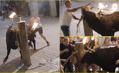 E lidhën për një shtyllë dhe i vendosën pishtarë me flakë në kokë – demi i tmerruar “rënkonte nga frika dhe zemërimi” gjatë një festivali në Spanjë