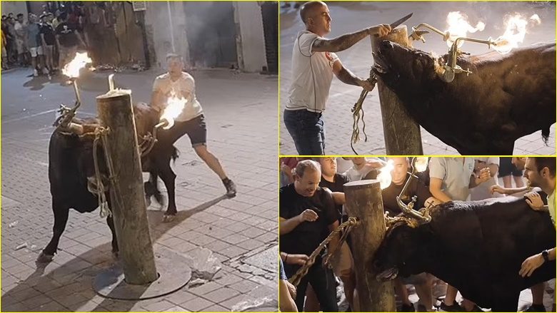E lidhën për një shtyllë dhe i vendosën pishtarë me flakë në kokë – demi i tmerruar “rënkonte nga frika dhe zemërimi” gjatë një festivali në Spanjë