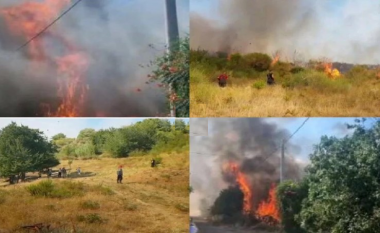 Gjendja e rënduar me zjarret në Shqipëri: Digjen tre shtëpi në Bërdicë, evakuuohen banorët