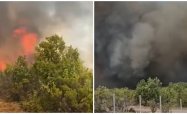 Shqipëria vazhdon të përballet me zjarret - flakët gjigante rrezikojnë shtëpitë në Mirditë