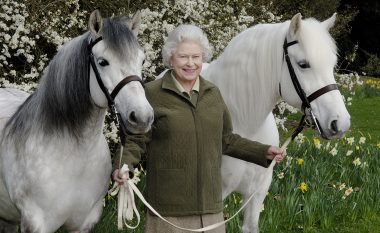 Mbretëresha Elizabeth II kishte më shumë se njëqind kuaj – kush do të vendosë për fatin e tyre