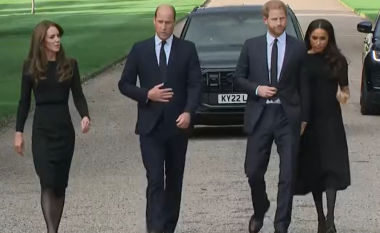 Princi William dhe Princesha Kate paraqiten së bashku me Princin Harry dhe Meghan në Kështjellën Windsor