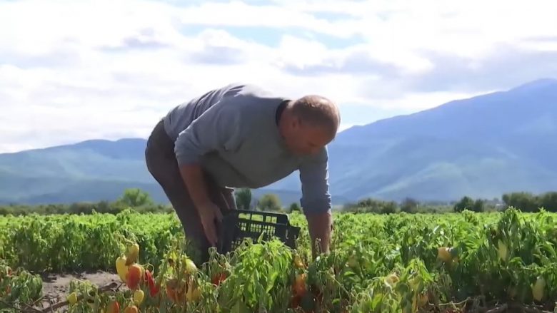 Rahoveci pas vërshimeve, fermerët përfundojnë sezonin akoma pa e filluar