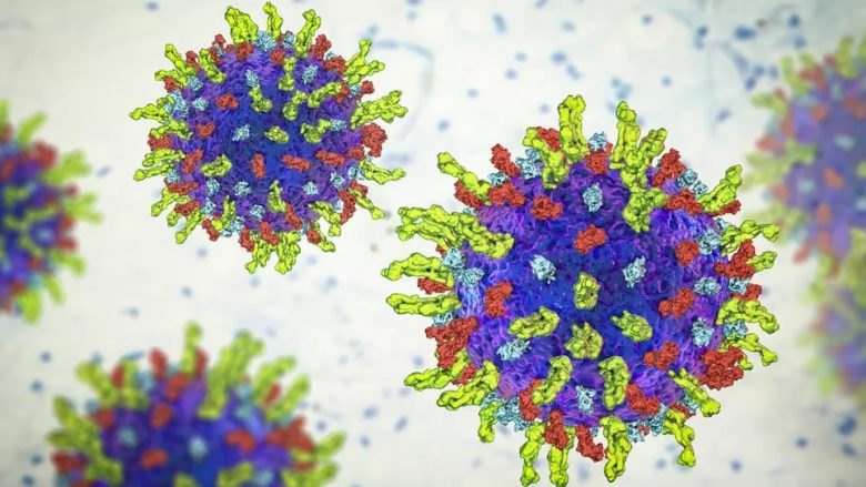Virusi i modifikuar i herpesit është shfaqur premtues në vrasjen e qelizave kancerogjene