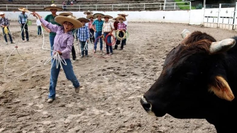 Shkolla në Meksikë ua mëson brezit të ri “traditat e kaubojve” – kërkon shumë përkushtim, por shpërblimet financiare janë të mëdha