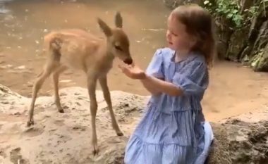 Videoja e vogëlushes që ushqen kafshën do t’ju bëjë të shkriheni së qeshuri
